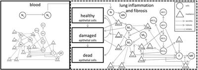 Landscape analysis for a neonatal disease progression model of bronchopulmonary dysplasia: Leveraging clinical trial experience and real-world data